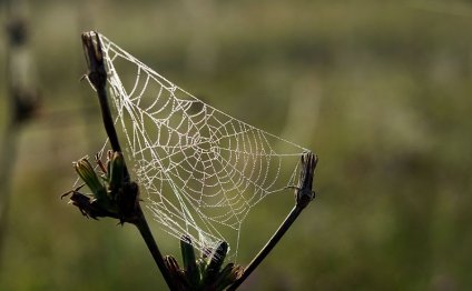 1. С трудом продирая глаза