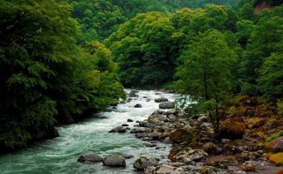 Из Казахстана в Грузию. Все прелести отпуска на Черном море (фото)